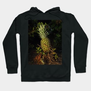 Pretty Plump Pineapple Pin, Mask, Tote Hoodie